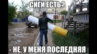 Естественная ферментация махорки.