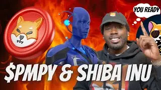 Prometheum Prodigy $PMPY Tidal Wave & Shiba Inu Live