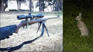 Caza de conejos con 22lr y Scope Cam (PARTE 2) CZ 457 Lux | Vortex Viper