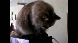 Скучная Масленица