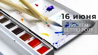 16 июня, онлайн-видеоурок от ТРЦ "Мадагаскар" часть 1