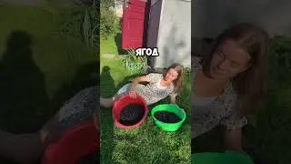 Урожай огонь🔥