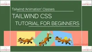 CSS3 animation classes in Tailwind CSS for Beginners- Part1