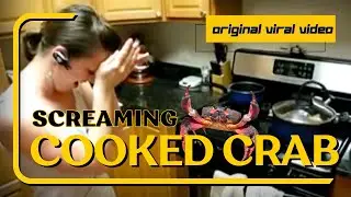 ORIGINAL VIRAL VIDEO: Girl Fails At Cooking Live Crabs, Screams