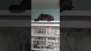 Scratching my head