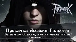 Ragnarok Online | Эдемы? | Прокачка Ассасин Гильотин | Motr Online | Ledo Валера