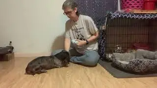 5 1 chin rest to target