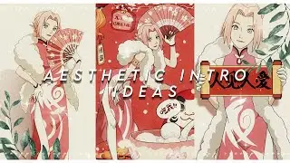 Aesthetic intro ideas (vsp)