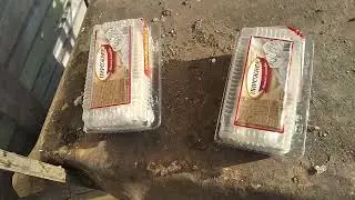 2023 2 17 Пирожное для собак
