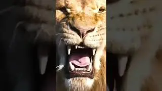 मैट्रिक परीक्षा स्पेशल क्लास परीक्षा में पूछे जाने की संभावना || #shorts #short #objective