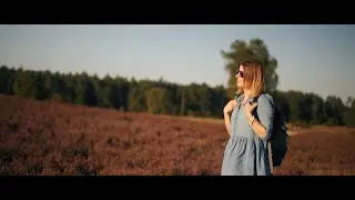 Lüneburger Heide | Sony A7S III | Phantom LUTs
