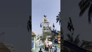 Jungle World #trending #resort #waterpark #yutubeshorts