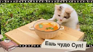 Хочешь Похудеть и Замуж? Свари Турецкий Суп Невесты #суп #чечевичныйсуп