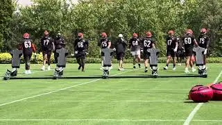 Bengals offensive line works on sled drills Thursday