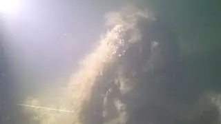 Thorness Bay Protected Wreck, October 2018