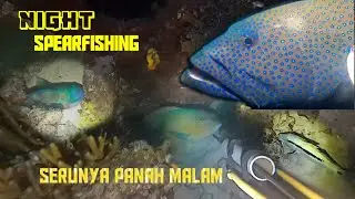 Night Spearfishing, Panah Ikan Malam Hari Series 121, Tetap Seru