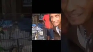 pak Asep marah minta ganti rugi😅 #shortvideo #memes #viral #ngakak #shortvideos #imaddictedtotiktok
