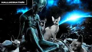 Afterlife Mix 2023 • Melodic Techno • Boris Brejcha • Tale of Us • Kevin De Vries • Anyma • Nick G