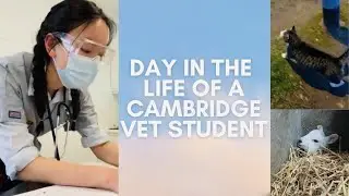 Day in the life of a vet student | Cambridge University vet student vlog 13 #SHORTS
