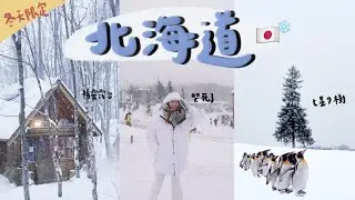 北海道自由行ep.2❄️玩雪地電單車哭到崩潰😭美瑛富良野🐻‍❄️企鵝和北極熊匯集之地🐻‍❄️🐧網紅聖誕樹值得去嗎？