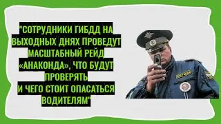 ГИБДД на выходных проведет рейд «Анаконда», что будут проверять и чего стоит опасаться водителям