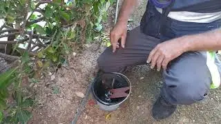 Tratamiento manual contra el mosquito tigre a través de trampas.