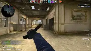 The flicks