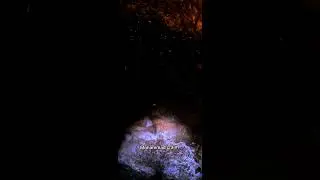 ملايين الخفافيش في مغارة طبريا