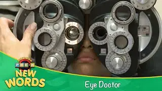 Eye Doctor | New Words | KidVision Pre-K