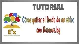 Cómo quitar el fondo de un vídeo con la aplicación Remove.bg