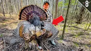 Turkey Tour Day 8 - Public Land Gobbler Down! (Southern Turkey Hunting)