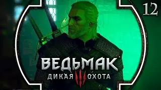 Прохождение Ведьмак 3: Дикая охота - #12 Проклятие Коломницы