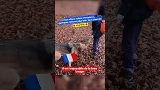 Her dog refuses to move... a few seconds later, she makes an INCREDIBLE discovery