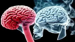 Harmful Habits That Are Slowly Killing Your Brain #brainhealth #healthyhabits