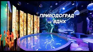 Павильон Природоград на ВДНХ