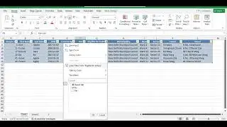 MS Excel Multi Level filters in Data | TECH LEARNER