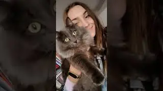 ДЕНЬ ХОЗЯИНА КОТА! 