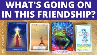 🌟 WHAT'S GOING ON IN THIS FRIENDSHIP 💫 PICK A CARD 🌟 TAROT READING ❤️