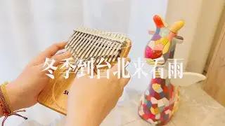 冬季到台北来看雨拇指琴kalimba 演奏