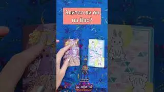 Злится ли он на меня? 