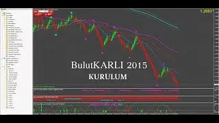 FED Platformu Uyelik ve Aktivasyon Detayları