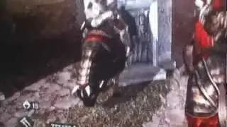 Assassins Creed Brotherhood Bug