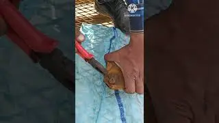 टॉवर क्रेन के ट्रॉली रोलर कैसे बदले