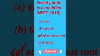 #NEETMCQ #NEET Study #MCQ#PYQ NEET #morphologyoffloweringplants #neet