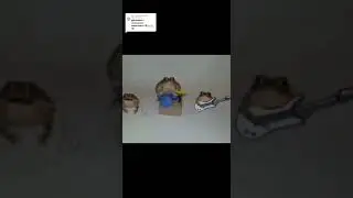 Саня х@й соси - 10 минут мем из ТикТока #мем #приколы #юмор #tiktok #музыка