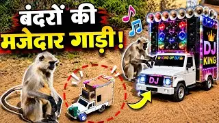 बंदरो के बीच छोटा वाला डीजे !! इतने सारे बंदर 😱 एक डीजे !! 🐒 Monkeys Vs Mini dj ! rc car dj toy dj