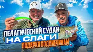 СПИННИНГ В ДУГУ ОТ ЗЛЫХ ПОКЛЁВОК! Пелагический судак жрёт слаги взаглот!