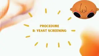 VIDEO EXPERIMENT 6 FERMENTATION LAB