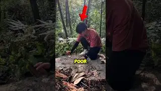 Insane Art Using Dirt 🤯