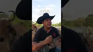 Alexis Figuera Cantándole al Llano #alexisfiguera #musicallanera #rumbasllaneras